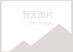 五大连池涟漪咨询有限公司